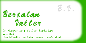 bertalan valler business card